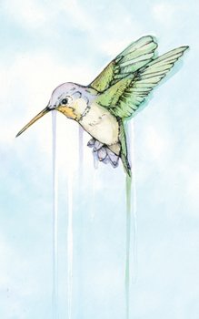 Paperback Hummingbird: Essays Book