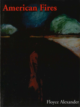 Paperback American Fires Book