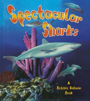 Paperback Spectacular Sharks Book