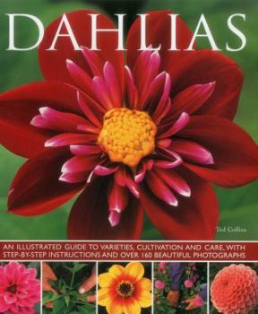 Paperback Dahlias Book