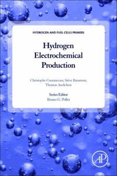 Paperback Hydrogen Electrochemical Production Book