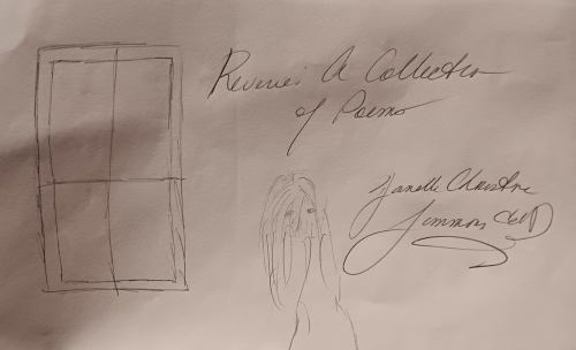 Paperback Reverie : A Collection of Poems Book