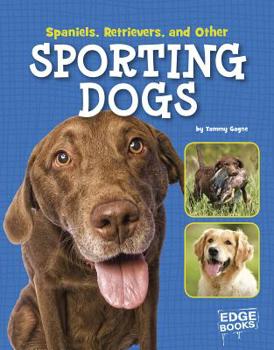 Spaniels, Retrievers and Other Gundogs - Book  of the Dog Encyclopedias