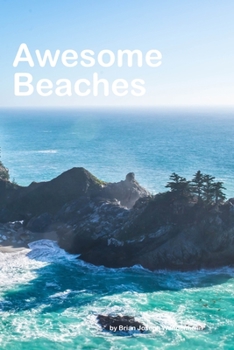 Paperback Awesome Beaches Book