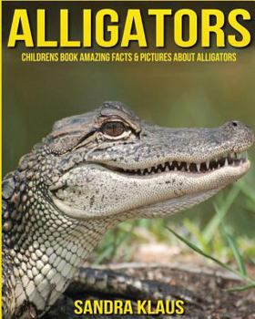 Paperback Childrens Book: Amazing Facts & Pictures about Alligators Book