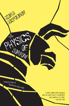 Paperback The Physics of Sorrow Book