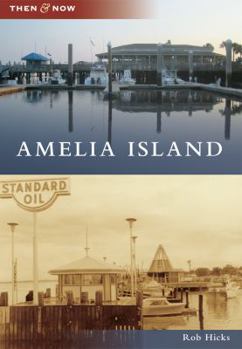 Paperback Amelia Island Book