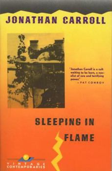 Paperback Sleeping in Flame Book