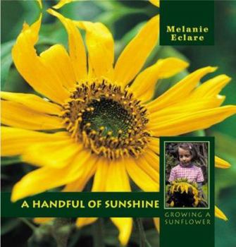 Hardcover A Handful of Sunshine- Growing a Sunflower Book