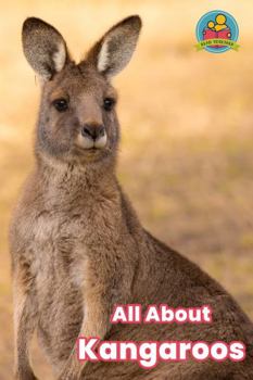 Paperback All about Kangaroos (Read Together) Book