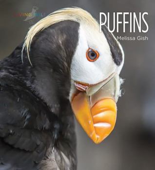 Puffins - Book  of the Living Wild