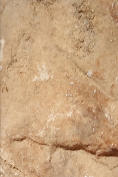 2020 Weekly Planner Rock Formation Topography 134 Pages: 2020 Planners Calendars Organizers Datebooks Appointment Books Agendas