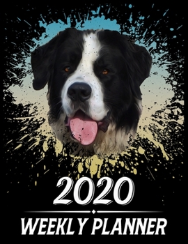 2020 Weekly Planner: Weekly & Monthly 2020 Planner Jan 1 2020 to Dec 31 2020 With Calendar Views, 1 Year Planner + Important Holiday Dates, St Bernard Dog Cover