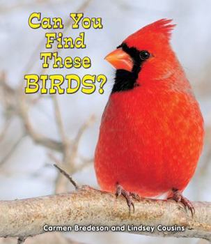 Can You Find These Birds? - Book  of the All About Nature