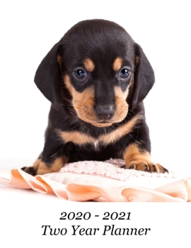 2020 – 2021 Two Year Planner: Cute Dachshund Puppy Cover – Includes Major U.S. Holidays and Sporting Events