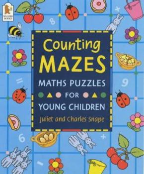 Paperback Counting Mazes Book