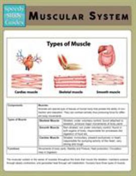 Paperback Muscular System (Speedy Study Guide) Book