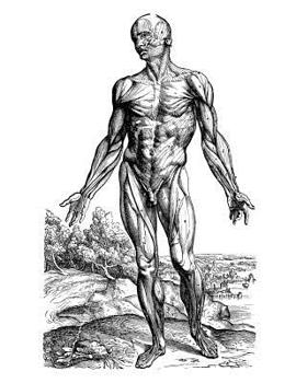 Anatomy Notebook: Skinless Man Muscles 03 - Andreas Vesalius Anatomy Art College Ruled Notebook | 110 Pages (Andreas Vesalius White Cover)