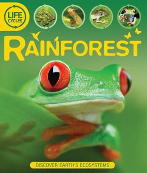 Paperback Rainforest Book