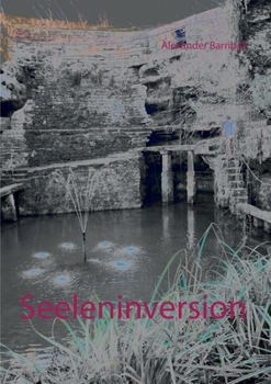 Paperback Seeleninversion [German] Book