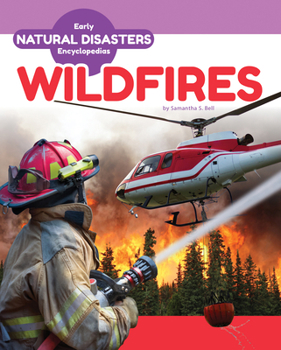 Library Binding Wildfires Book