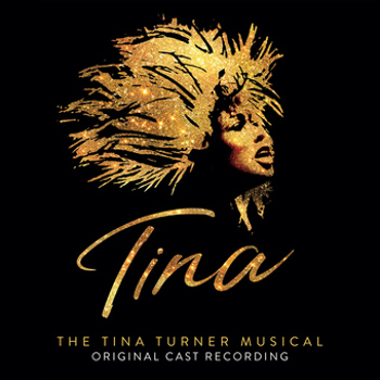 Vinyl Tina:Tina Turner Musical(Ocr) Book