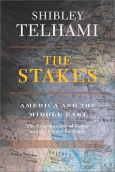Hardcover The Stakes: America and the Middle East the Consequences of Power and the Choice for Peace Book