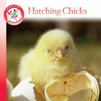 Unknown Binding Hatching Chicks Book