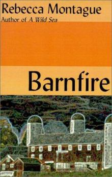 Paperback Barnfire Book