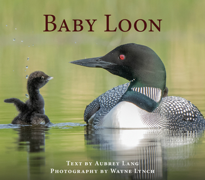 Paperback Baby Loon Book