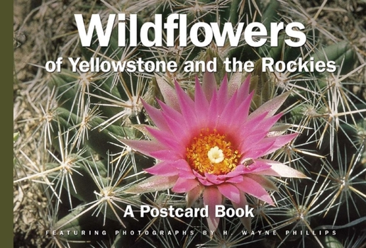 Paperback Yellowstone National Park Book