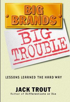 Hardcover Big Brands Big Trouble: Lessons Learned the Hard Way Book