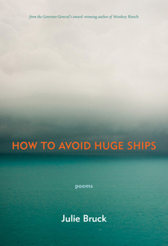 Paperback How to Avoid Huge Ships Book