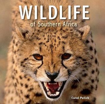 Paperback Wildlife of Southern Africa Book