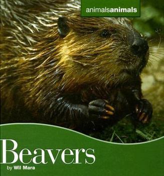 Library Binding Beavers Book