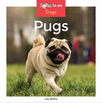 Pugs - Book  of the Zoom in on Dogs