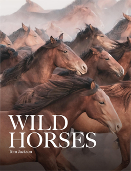 Hardcover Wild Horses Book