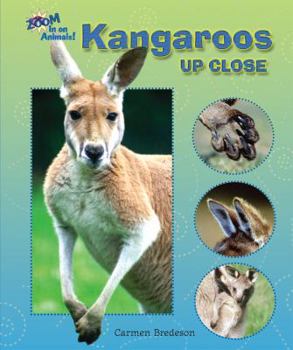 Library Binding Kangaroos Up Close Book