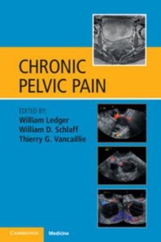 Paperback Chronic Pelvic Pain Book