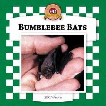 Bumblebee Bats - Book  of the Bats