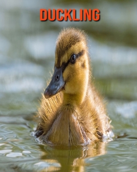 Duckling: Amazing Photos & Fun Facts Book About Duckling For Kids