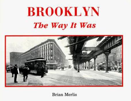 Paperback Brooklyn: The Way It Was Book