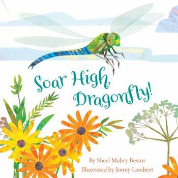 Hardcover Soar High, Dragonfly Book
