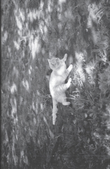 Paperback The Luxury of Time: 4.79 Book