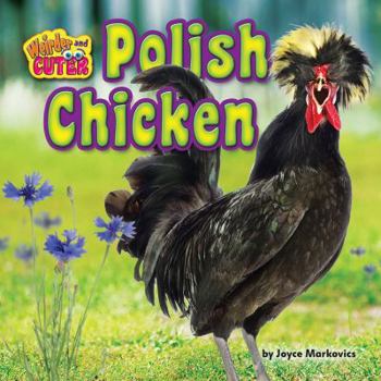 Polish Chicken - Book  of the Weirder and Cuter