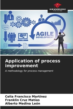 Paperback Application of process improvement Book