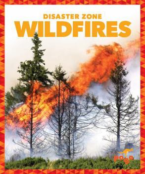 Wildfires - Book  of the Disaster Zone