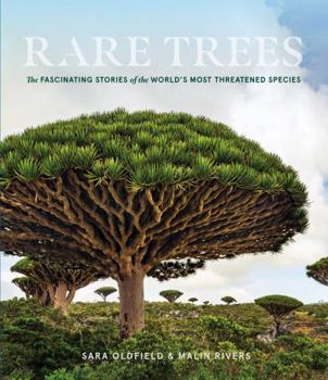 Hardcover Rare Trees: The Fascinating Stories of the World's Most Threatened Species Book