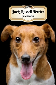 Paperback 2020 Jack Russell Terrier Calendario: 107 P?ginas Tama?o A5 Planificador Semanal 12 Meses 1 Semana en 2 P?ginas Agenda Semana Vista Tapa Blanda Perro [Spanish] Book