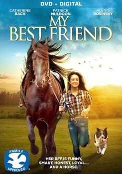 DVD My Best Friend Book